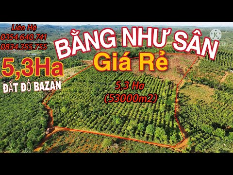 Video (Đã bán)5,3Ha GIÁ RẺ BẰNG NHƯ SÂN 3 MẶT TIỀN ĐƯỜNG,Đất... - youtube