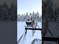 POV: you're on a reindeer ride in Lapland ❄️🤩 (🎥: TT/ apetley1234)