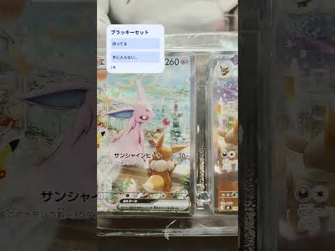 ブラッキーセットみんな買えたかな？？？ #ポケカ再販最新情報 #ポケモンカード #ポケモン #pokemon #pokemoncards