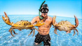 Thumbnail for Island Survival Only Using My Bare Hands To Catch Food