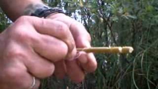 Bushcraft - Trampa Para Pequeños Animales - Bird Snare Trap.