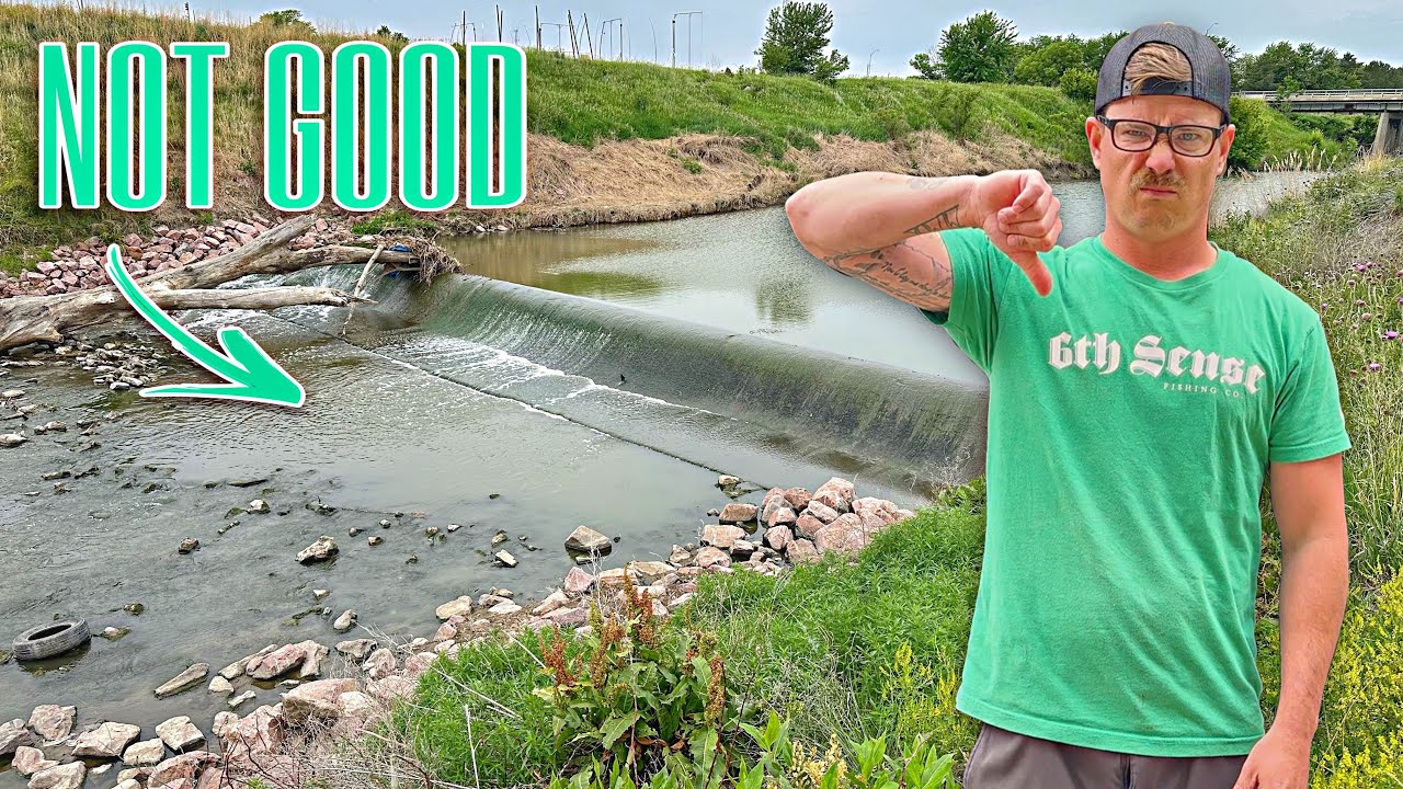 They Filled This Spillway With Rocks 5 YEARS AGO!!! - What's Living Here Now?