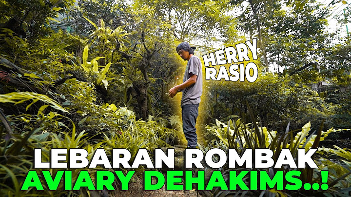 LEBARAN BERSAMA CAK HERRY RASIO TRIMMING AVIARY
