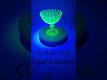 Uranomania #uraniumglass #antyki #pchlitarg #fleamarket #starocie
