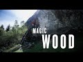 Red Chili Journey Series - Magic Wood