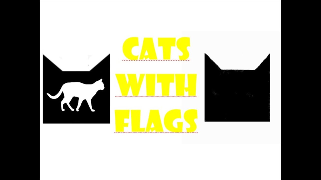 Flag of the early Settlers and first Rogues#10