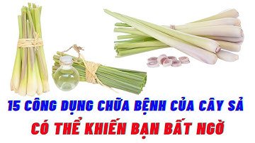 15 Công Dụng Chữa Bệnh Tuyệt Vời Của Cây Sả Có Thể Khiến Bạn Bất Ngờ
