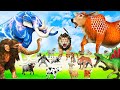 Angry giant elephant mammoth vs angry giant dinosaur vs angry Indian tiger fighting