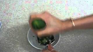 japan Face mask compressed .flv screenshot 4