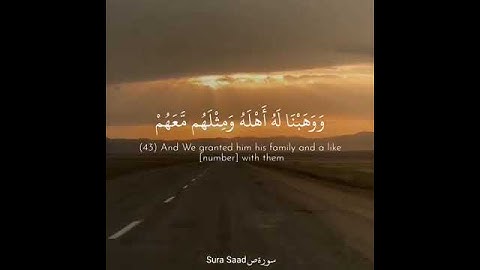 أرِح قلبك.. 💛 قرآن كريم بصوت القارئ ياسر الدوسري 🌻