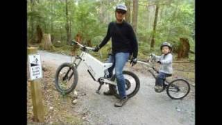 Stealth Electric Bikes, With The Family