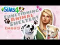 How to Have a Working Animal Rescue on Sims 4! // Mod review + Walkthrough