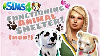 How to Have a Working Animal Rescue on Sims 4! // Mod review + Walkthrough