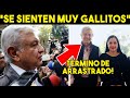 ENTRA EN PANICO! A PUNTO DE FRACASAR, OBRADOR LO DEJO SIN SALIDA! TODO LE SALE MAL