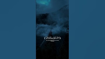 تلاوة خيالية بصوت الشيخ محمد اللحيدان❤️🎧 #قران_كريم #اكسبلور #يوتيوب #لايك