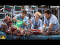 जब इंसान बन गया अदृश्य शैतान! 😱 | Hollow Man | New Hollywood Hindi Movies