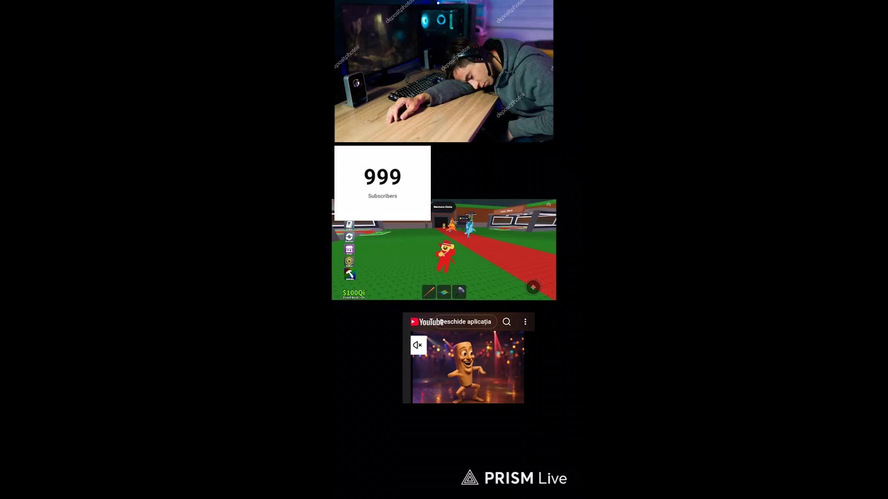 Live streaming of finssin