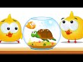 Lucky ducky fish pot  learn colors good manners  more rhymes  cartoon candy