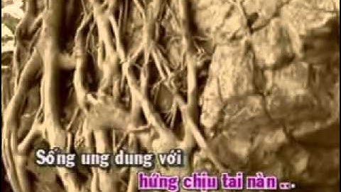 VC: Tiếng đàn trong ngục tối