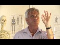 Excerpt from The Science of Bodywork 1: Unfolding Evolution webinar