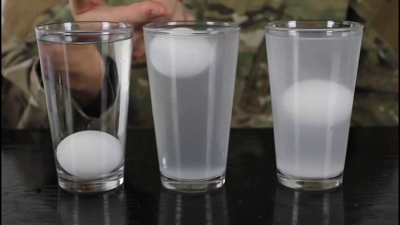 Eggs Salt Water Water Density Science Experiment