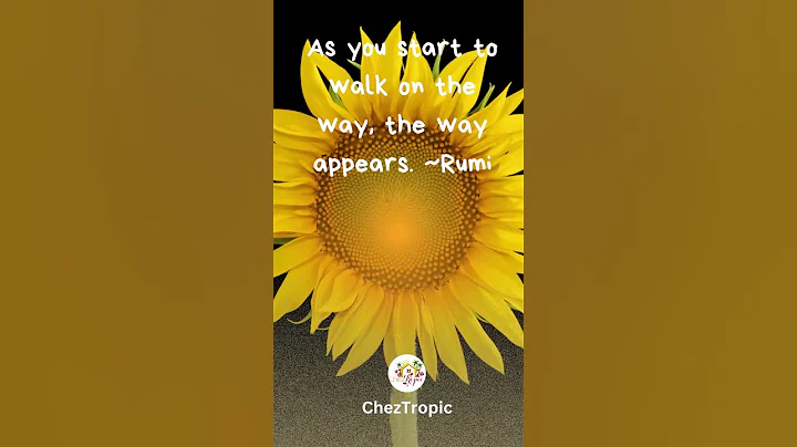 As you start to walk on the way, the way appears. ~Rumi