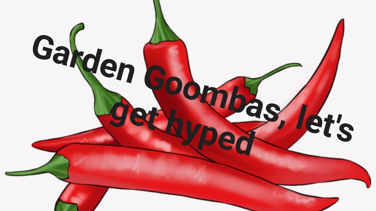 Getting Hyped for 2nd annual Garden Goombas hot pepper eating contest