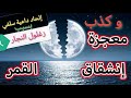 قصة سلفي يلحد بسبب إنشقاق القمر وزغلول النجار مع أحمد سعد زايد