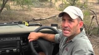 Sabi Sand Wild Safari Live Feb 18 2016 sunset screenshot 2