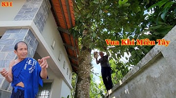 Xác nhận sự thật về cái c.hết của Vua Khỉ Miền Tây ... có đúng hay không ??? Cutting red wood .