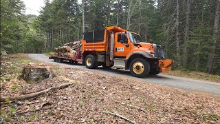 Thirsty Tree Culvert Gone And Road Repairs  screenshot 5