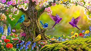 🎹 Relaxing Piano with Spring Bird Sounds 🕊 Calming Music for Focus, Meditation & Stress Relief screenshot 5