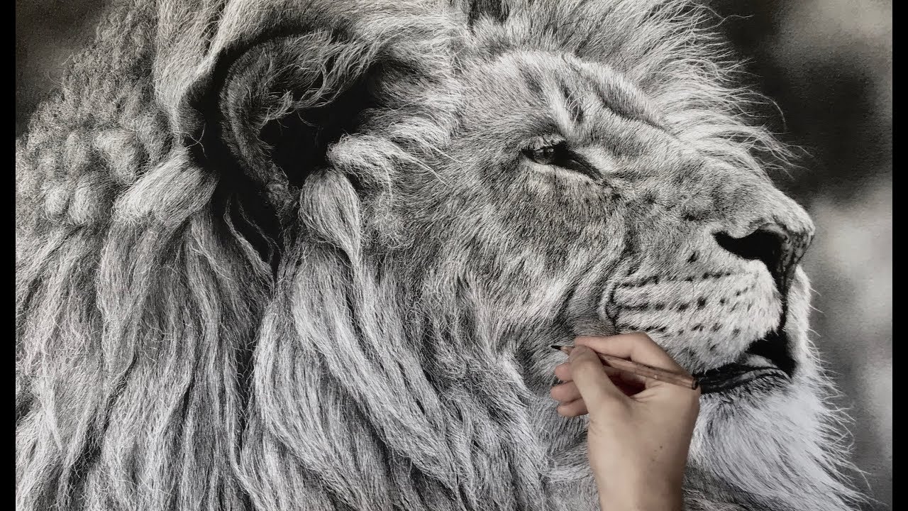 Hyperrealistic Lion drawing / 85hour Time-Lapse - YouTube