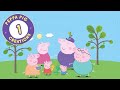 Peppa Pig Full Episodes | Meet Peppa Pig's family and friends! | Kids Videos