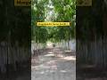 মঙ্গলদীপ ইকো ট্যুরিজম পার্ক 😱 #shorts #mangaldeep #park
