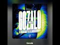 1 HOUR FUNK Ariis GOZALO 