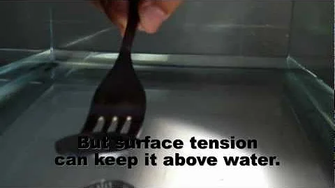 Surface Tension