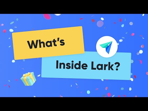 What's Inside Lark?