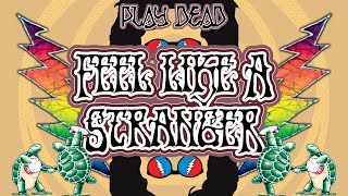 HOW TO PLAY FEEL LIKE A STRANGER | Grateful Dead Lesson | Play Dead