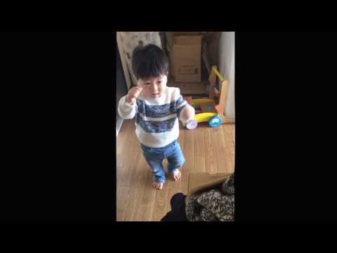 息子がPPAP踊りだした