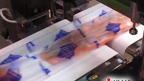 Fresh salmon filets packaging in flow pack wrapper (HFFS)