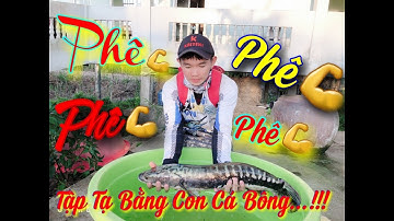 Câu Cá U Minh Thượng, Bất Ngờ Gặp Cá Lóc Bông ( Siêu To Khủng Lồ).