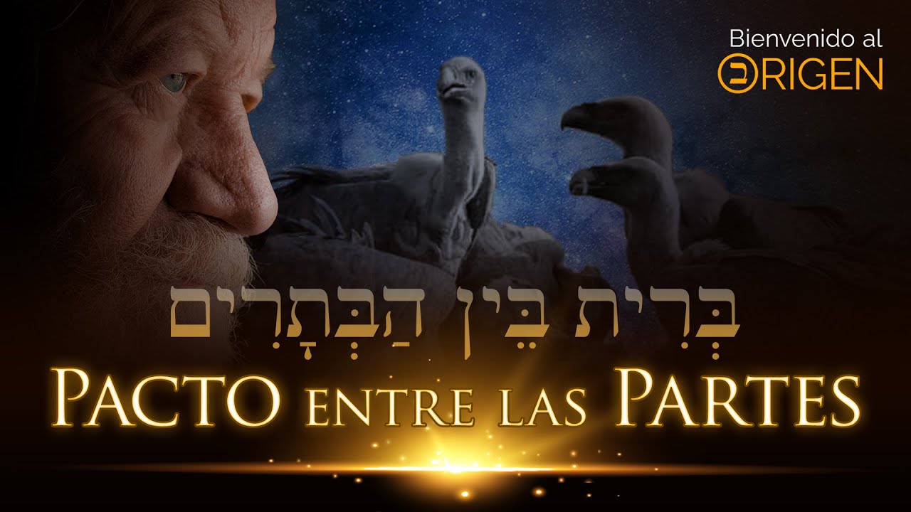 ESTUDIO BÍBLICO | GÉNESIS 15 - EL PACTO ENTRE LAS PARTES | Jonatan Mira