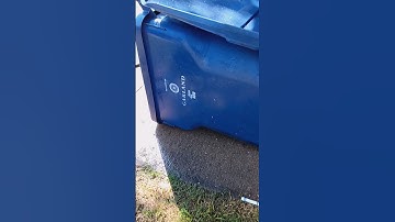 How to wash trash cans#fypage #viral #trashcans