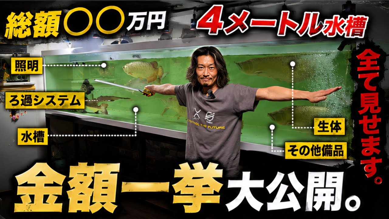 Mt水槽 Revealing the Total Cost of the 4-Meter Tank. Full Breakdown of