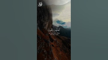 راحة و طمأنينة القارئ أحمد معن دياب #قرآن