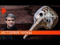 История чумы. НИИ РЕН ТВ (26.11.2019).