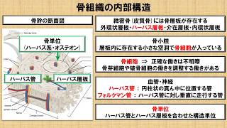 骨組織の構造に関する知識 No 54 理学療法士国家試験対策 シリーズ Youtube