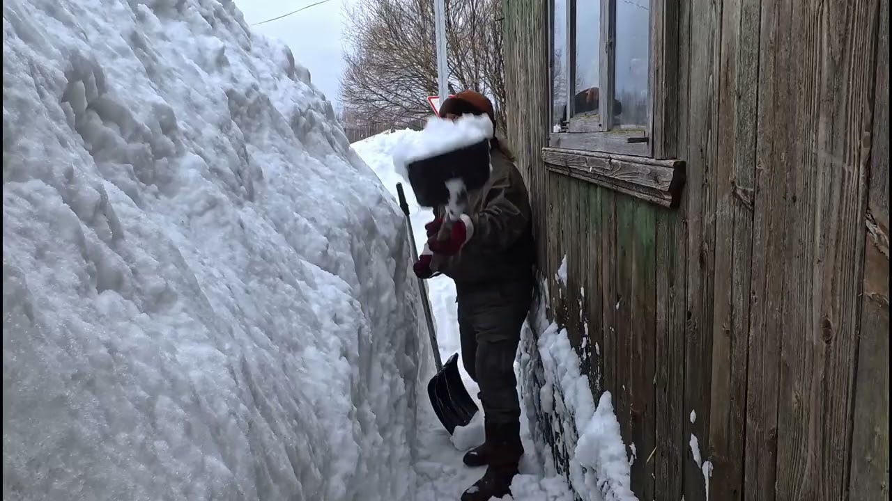 Сердце не камень -  помогите сохранить!