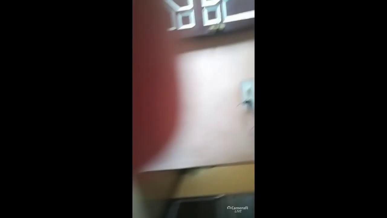 ipl2020 live's broadcast